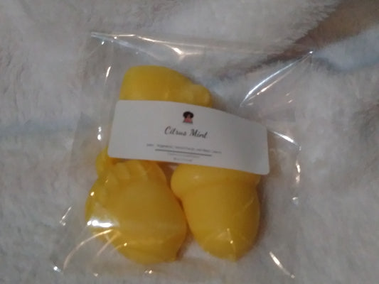 Citrus Melt Wax Melts