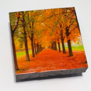 Trees in Fall Magnet
